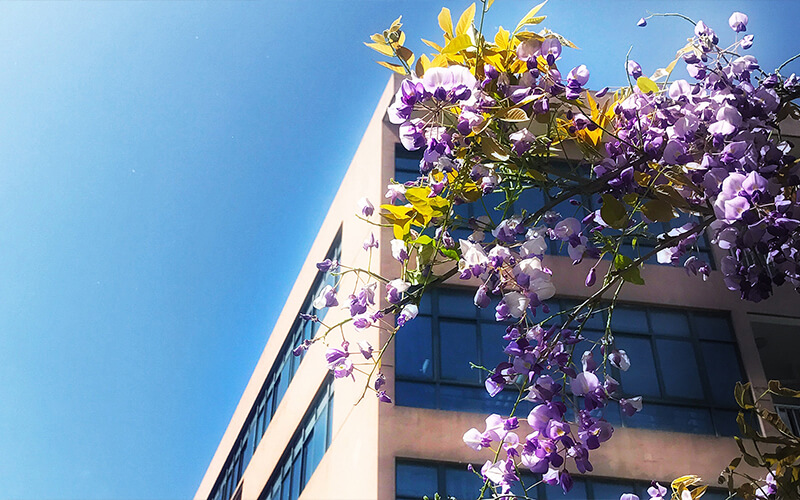 华东师范大学计算机科学与技术专业在辽宁招生录取分数(物理类)：643分