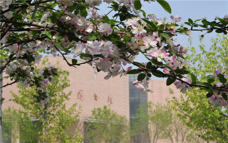 郑州大学图书情报与档案管理类专业录取分数线【云南高考理科】