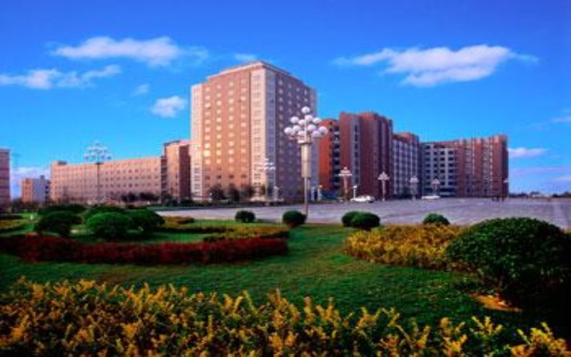 2022年大连理工大学城市学院在黑龙江招生专业及招生人数汇总（2023考生参考）