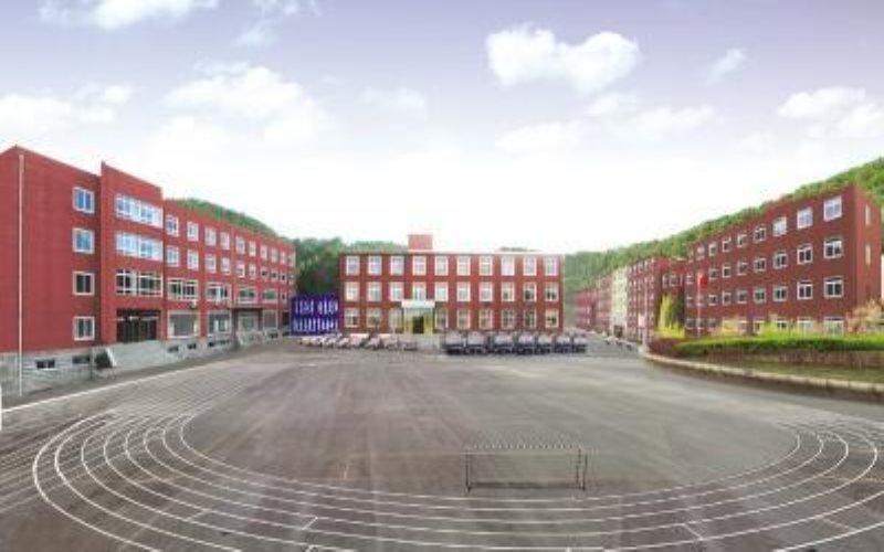 2024年大连汽车职业技术学院文物展示利用技术专业在辽宁录取分数线参考