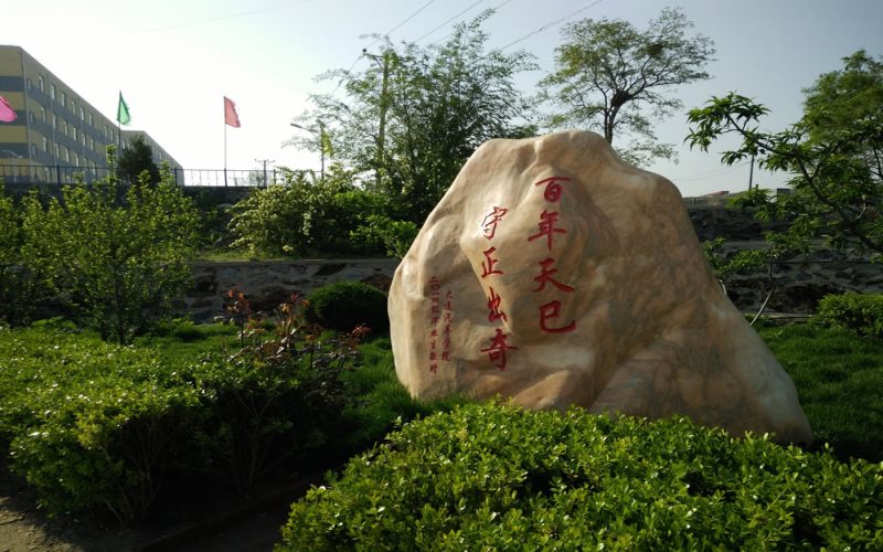 2023年辽宁考生多少分可以上大连汽车职业技术学院新能源汽车检测与维修技术专业？