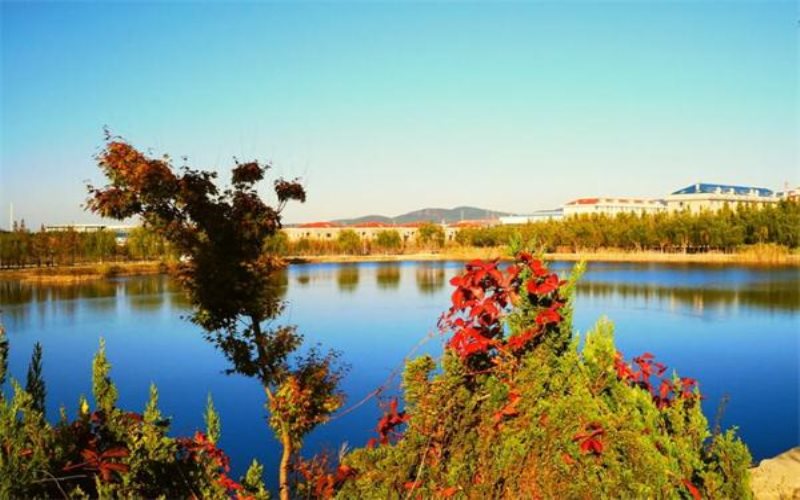 ★辽宁对外经贸学院2022陕西招生计划_辽宁对外经贸学院2022陕西招生专业及招生人数汇总