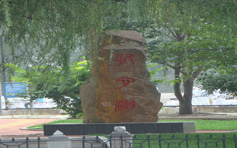 2024年辽宁轻工职业学院服装设计与工艺专业在河北录取分数线参考