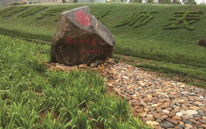 辽宁师范大学计算机科学与技术（师范）专业录取分数线【北京高考综合】