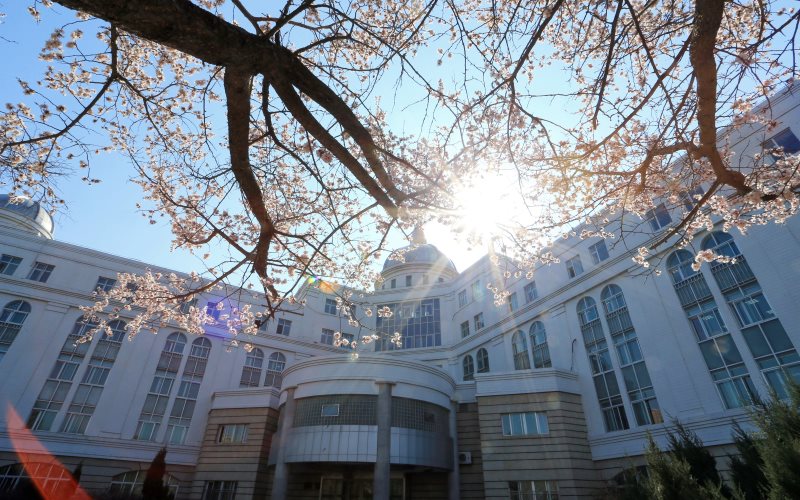 2023年山东考生多少分可以上吉林大学预防医学专业？