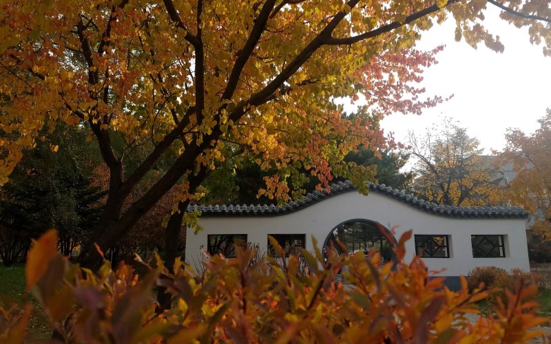 山东综合考生排多少名可以上吉林大学临床医学（二）专业?