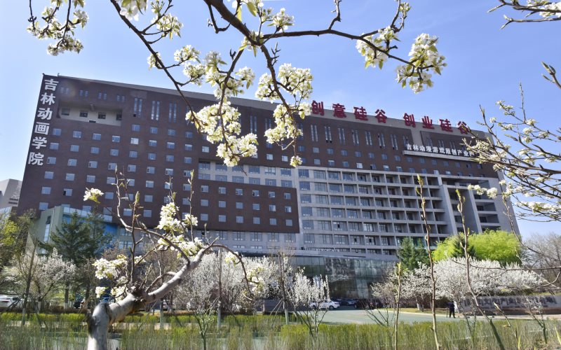 2024年吉林动画学院文化产业管理专业在辽宁录取分数线参考