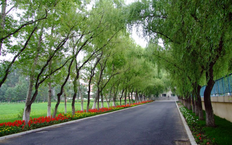 2024考生参考：2023吉林交通职业技术学院现代物流管理专业在浙江招生录取分数及录取位次