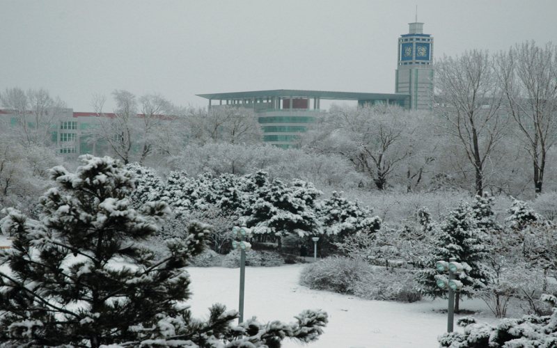 吉林农业大学风景园林专业在山东招生录取分数(综合)：511分