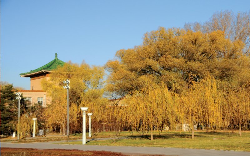 2023年吉林农业大学在湖北录取批次及录取分数参考