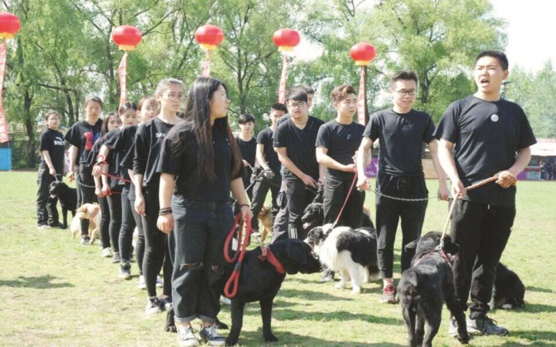 2023年河北考生多少分可以上吉林农业科技学院机械设计制造及其自动化专业？