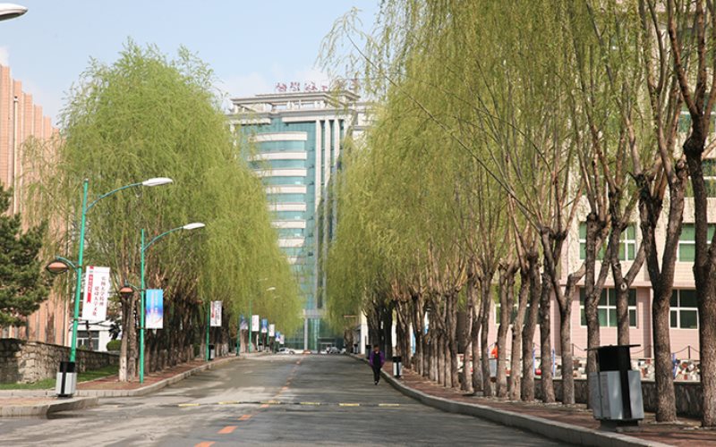 辽宁物理类考生排多少名可以上长春工程学院边防军人子女预科班专业?