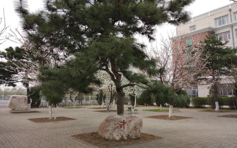 内蒙古文科考生排多少名可以上长春工业大学人文信息学院土木工程专业?