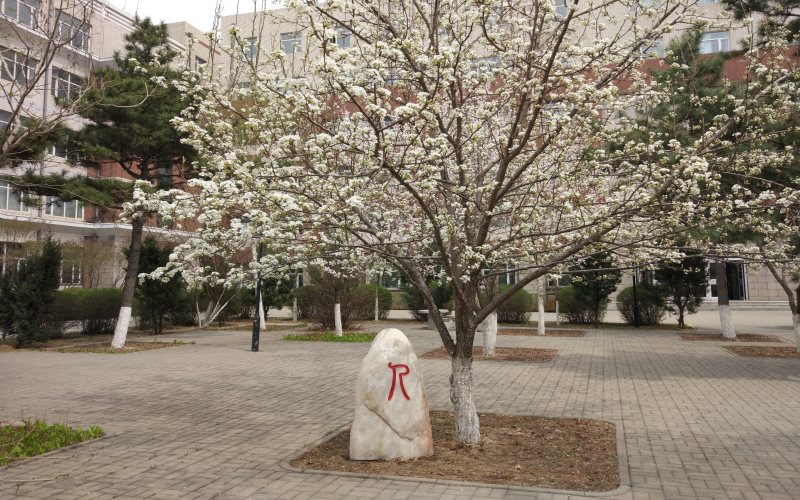 长春工业大学人文信息学院电子信息工程专业在山东招生录取分数(综合)：466分