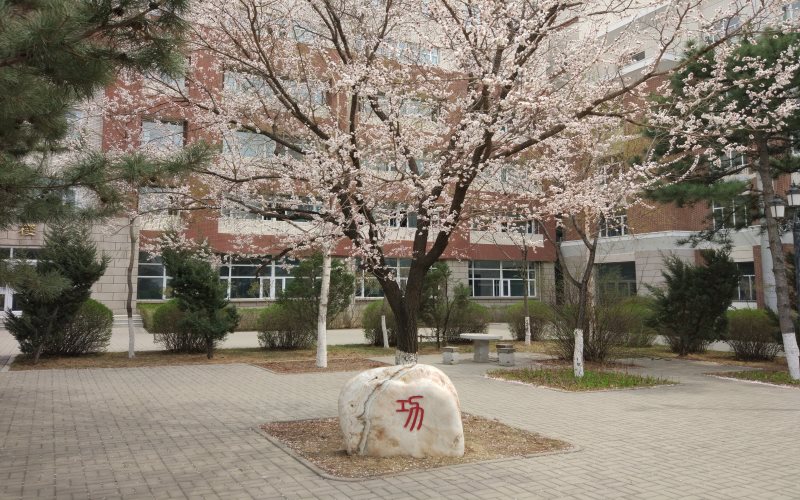 2024考生参考：2023长春工业大学人文信息学院数据科学与大数据技术专业在辽宁招生录取分数及录取位次