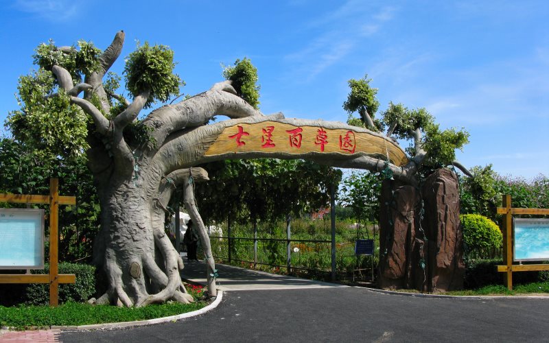 山东综合考生排多少名可以上长春中医药大学药物制剂专业?