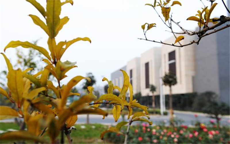 河南财经政法大学财政学类专业在河北招生录取分数(历史类)：572分