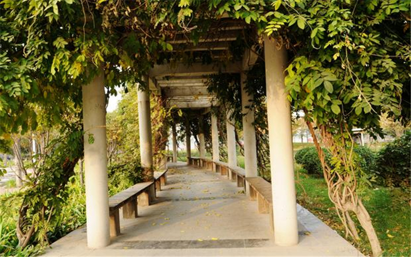 重庆历史类考生排多少名可以上河南财经政法大学公共管理类专业?