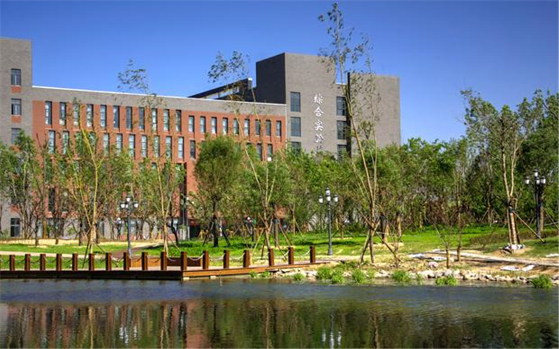 河南财经政法大学财务管理专业录取分数线【山东高考综合】
