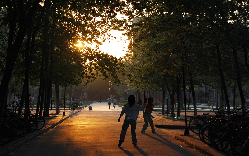 2023年河南师范大学在河南招生专业及招生人数汇总