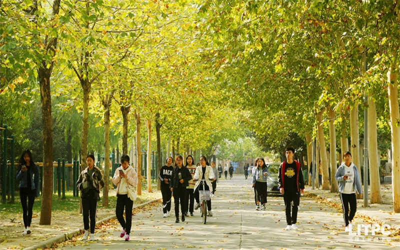 2023年洛阳理工学院在黑龙江招生专业及招生人数汇总(2024考生参考)