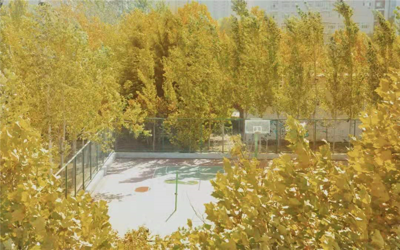 2024年河南工业大学饲料工程专业在浙江录取分数线参考