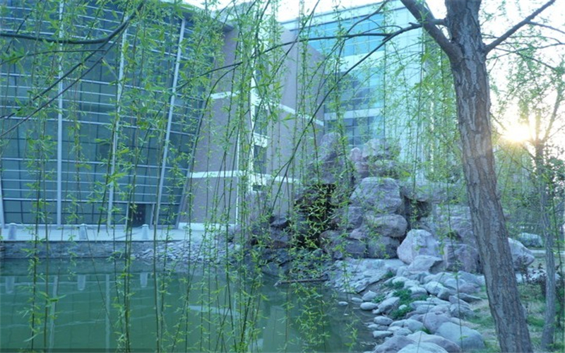 多少分可以上中原科技学院？中原科技学院2021年在河北各专业录取分数线
