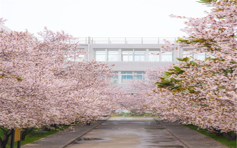 中原工学院会计学专业在山西招生录取分数(文科)：507分