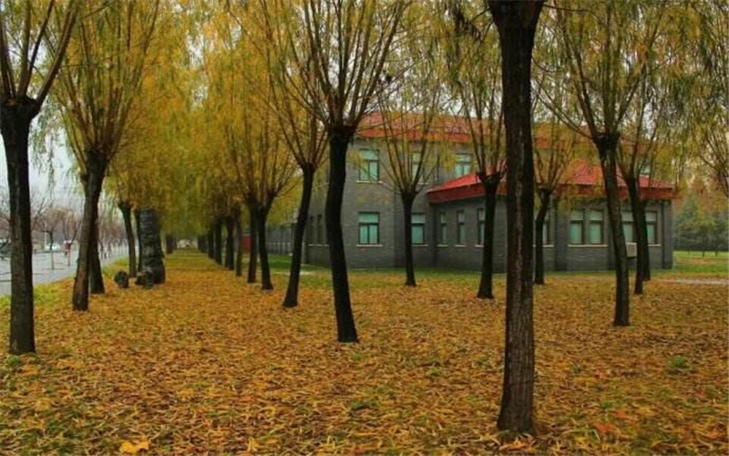 2022年许昌学院在新疆招生专业及招生人数汇总（2023考生参考）