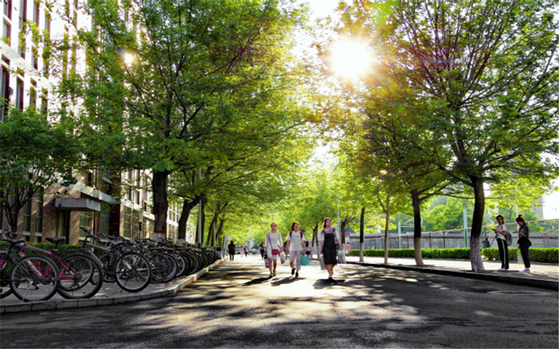 2023年新乡医学院三全学院在湖北招生专业有哪些？学费是多少？