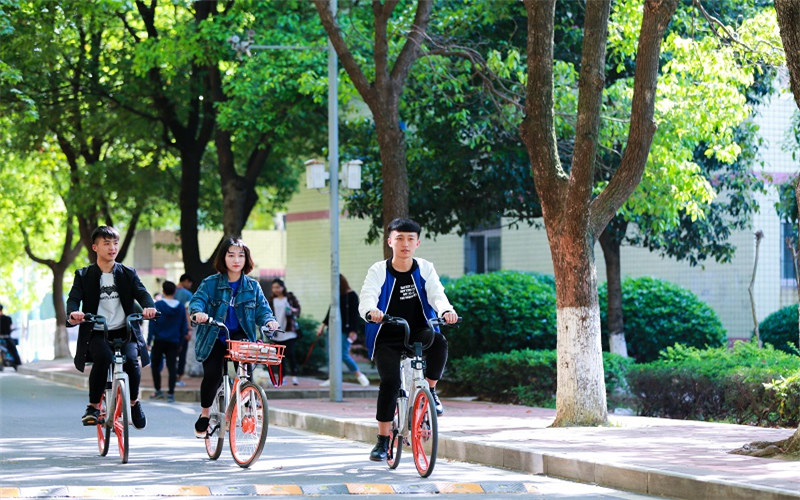2023年浙江考生多少分可以上湖北商贸学院金融学专业？