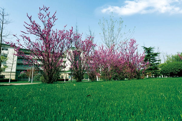 2023年合肥学院在江西招生专业及招生人数汇总