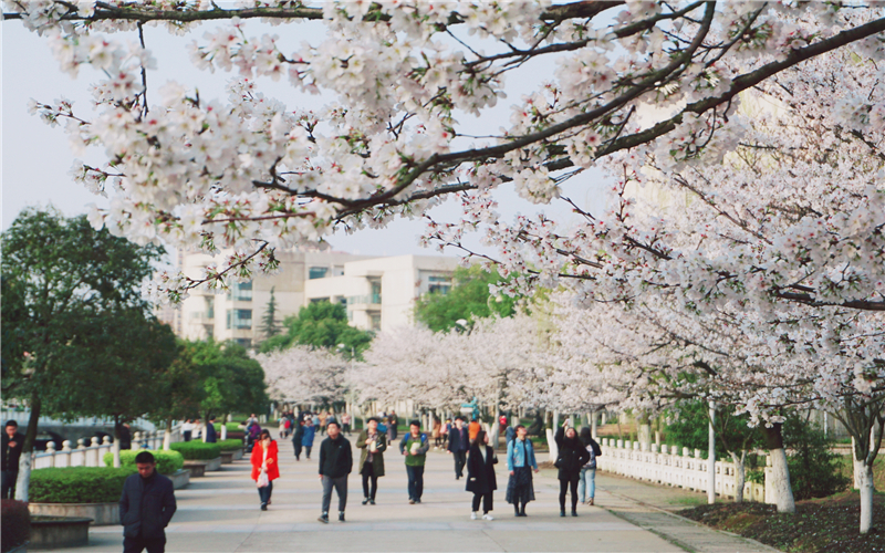 2024考生参考：2023湖北经济学院法学专业在河北招生录取分数及录取位次