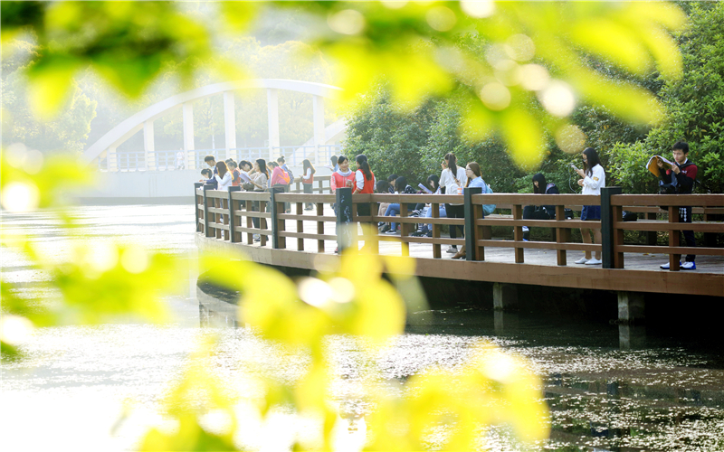 2023年湖北经济学院在海南招生专业及招生人数汇总