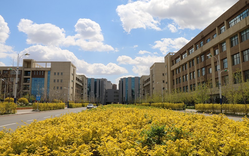 沈阳科技学院在河南各专业录取分数一览表(含2021-2020历年)