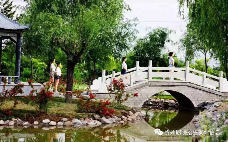 忻州职业技术学院2022天津综合招生专业及招生人数汇总