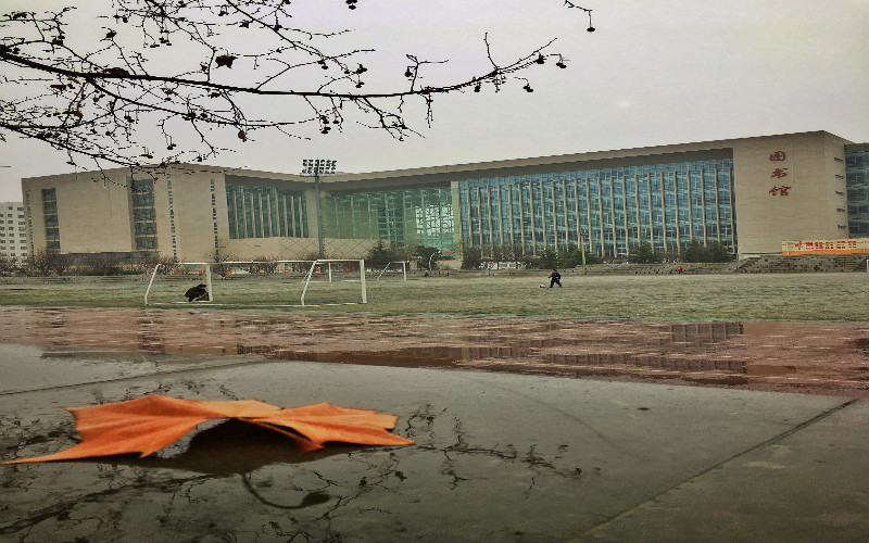 多少分可以上晋城职业技术学院？晋城职业技术学院2021年在河南各专业录取分数线