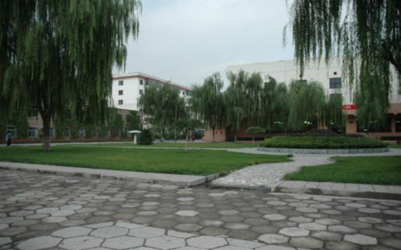 2023年太原城市职业技术学院各文科专业在内蒙古招生分数是多少？