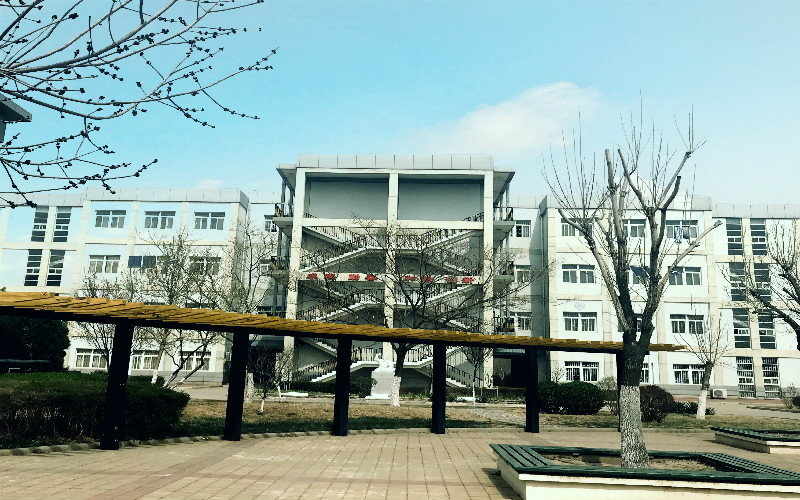 2023年天津石油职业技术学院各物理类专业在重庆招生分数是多少？