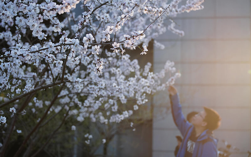 2023年中国人民大学在广东录取批次及录取分数参考