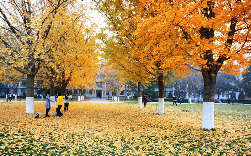 北京理工大学工科试验班（未来技术学院）专业录取分数线【北京高考综合】