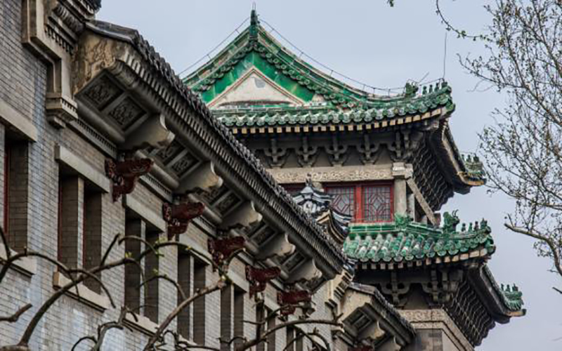 北京师范大学生物科学类专业录取分数线【天津高考综合】