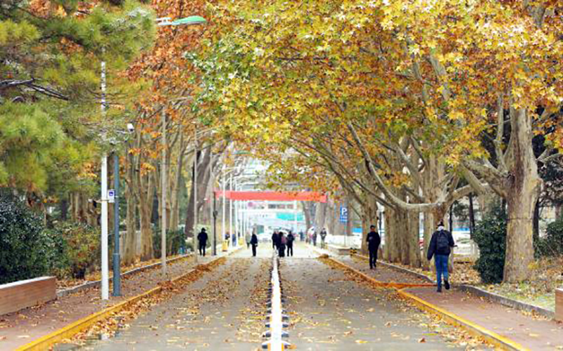 2023年北京师范大学在上海招生专业及招生人数汇总