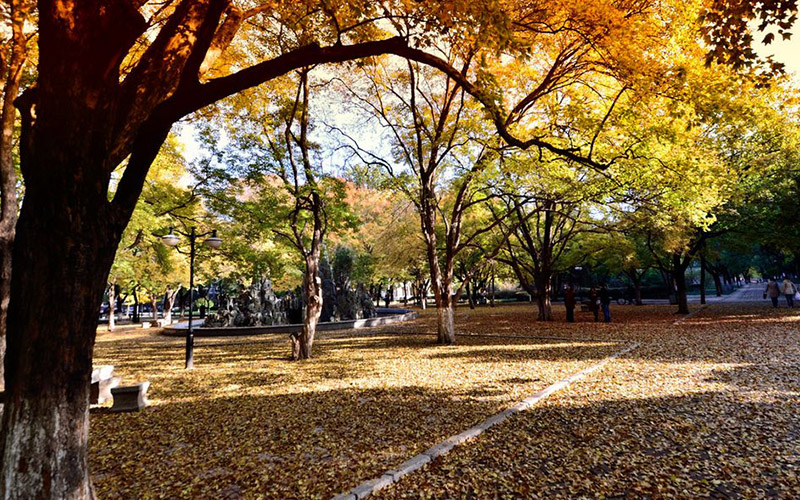 山东大学计算机类（软件数媒与大数据方向）专业在辽宁招生录取分数(物理类)：639分