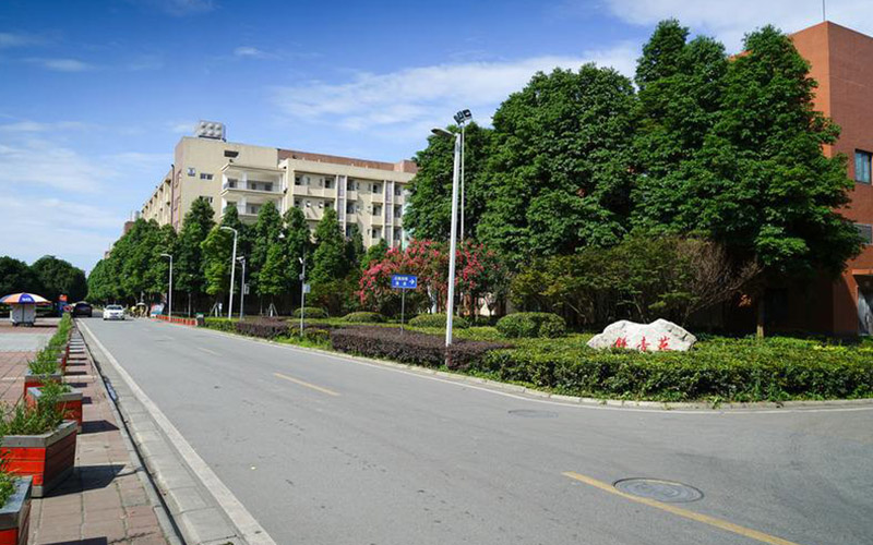 2023年电子科技大学在黑龙江招生专业及招生人数汇总