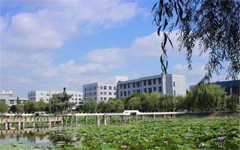 亳州学院电子商务专业在山东招生录取分数(综合)：485分