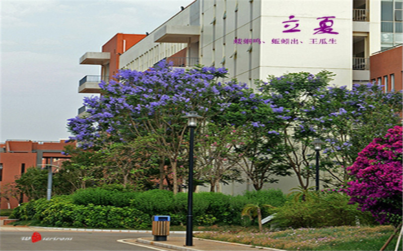 2023年昆明医科大学在重庆招生专业及招生人数汇总