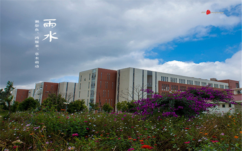 辽宁物理类考生排多少名可以上昆明医科大学法医学专业?