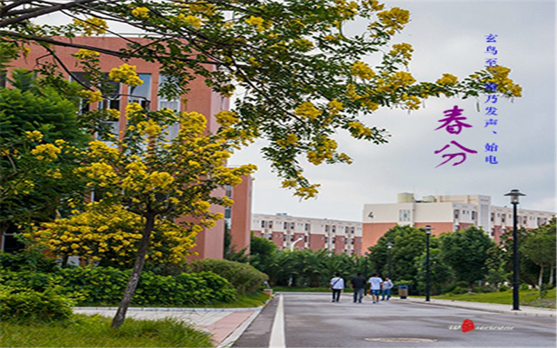 2023年昆明医科大学在浙江招生专业及招生人数汇总