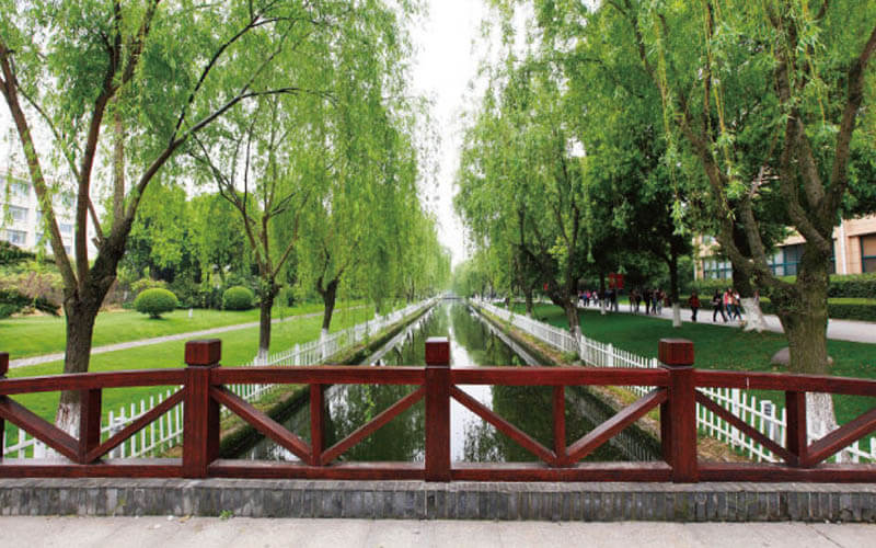 2023年上海师范大学天华学院在青海招生专业及招生人数汇总